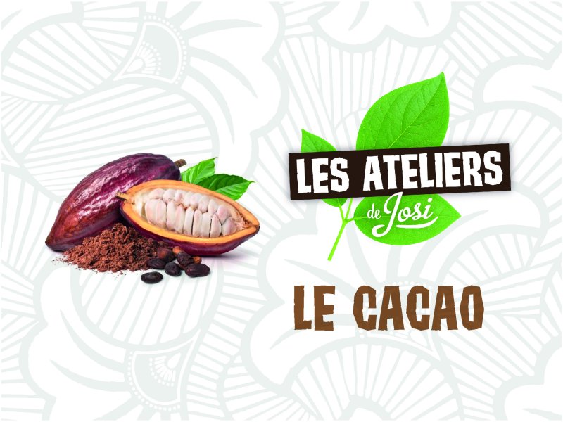 Image atelier Cacao
