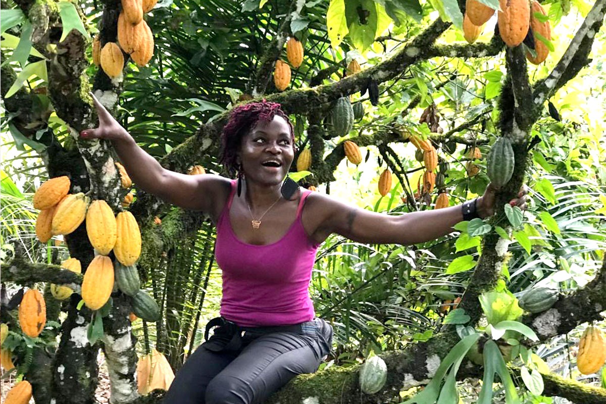 Cacao de Josi