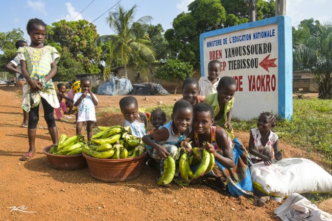 Image De la c&ocirc;te... &agrave; l'Ivoire!