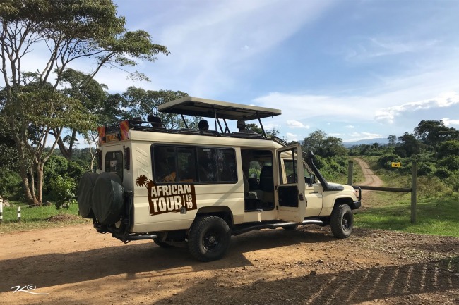 Image Karibu (bienvenue) to the wildlife!