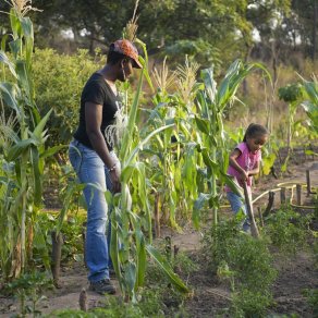 2018-12-10_benin-article_3813_k