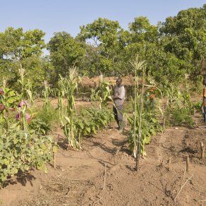 2018-12-10_benin-bembereke_3583_k