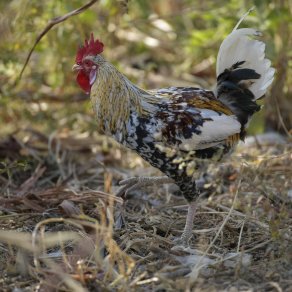 2018-12-10_benin-bembereke_3614_k