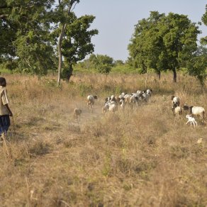 2018-12-10_benin-bembereke_3703_k