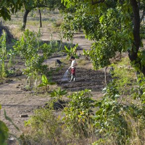 2018-12-10_benin-bembereke_3763_k