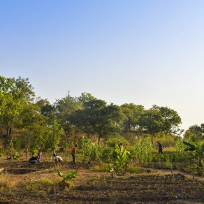 2018-12-10_benin-bembereke_3799_k