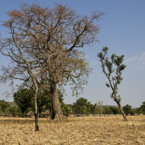 2018-12-11_benin-bembereke_3991_k