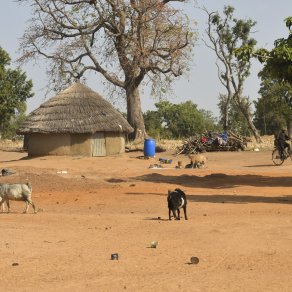 2018-12-11_benin-bembereke_3997_k