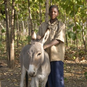 2018-12-13_benin-bembereke_4333_k