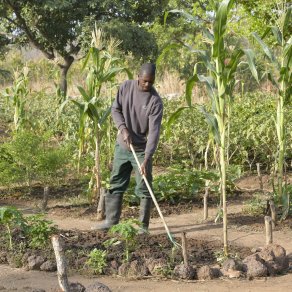 2018-12-13_benin-bembereke_4344_k