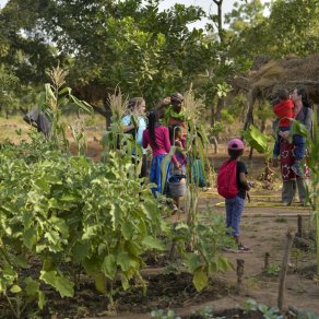 2018-12-13_benin-bembereke_4355_k