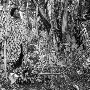 2019-01-13_cameroun_au-village_6453_k