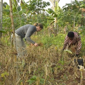 2019-01-13_cameroun_au-village_6468_k