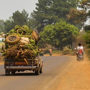 2019-02-19_cameroun_au-village_8059_k