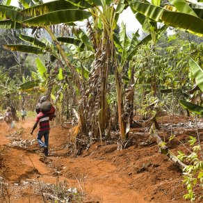 2019-02-20_cameroun_au-village_8391_k