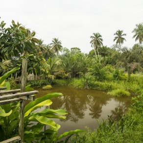 2018-02-17_cameroun_kribi_3618_k