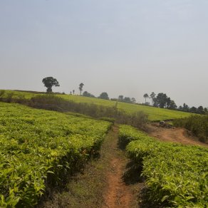 2019-01-12_cameroun_6345_k