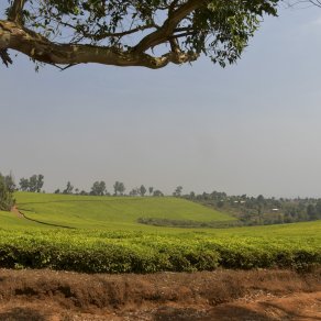 2019-01-12_cameroun_6368_k