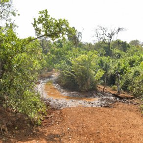 2019-01-14_cameroun_6922_k