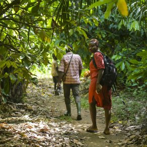 2018-11-29_cote-d-ivoire_2745_k