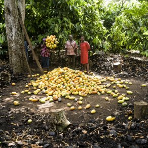 2018-11-29_cote-d-ivoire_2774_k