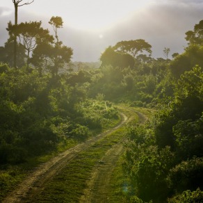 2018-09-13_kenya_aberdare_7822_k