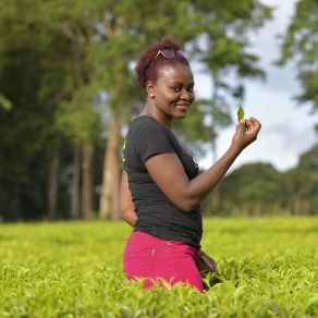 2018-09-16_kenya_kakamega_9056_k