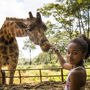 2018-09-25_kenya_nairobi_4995_k