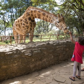 2018-09-25_kenya_nairobi_5016_k