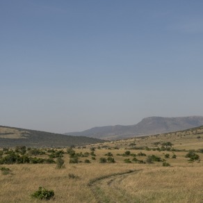 0_2018-09-18_masai-mara_0023_k