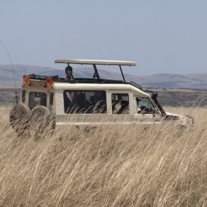 2018-09-18_masai-mara_0595_k