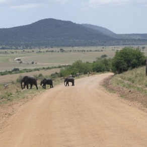 2018-09-18_masai-mara_0704_k