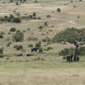 2018-09-18_masai-mara_0797_k