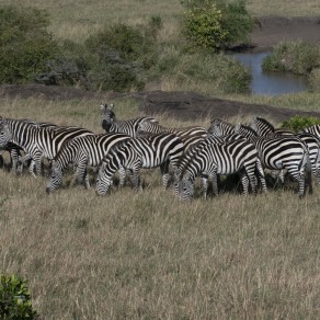 2018-09-18_masai-mara_9991_k