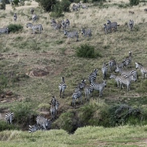 2018-09-19_masai-mara_1501_k