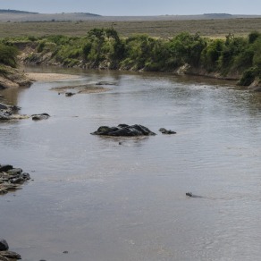 2018-09-19_masai-mara_2325_k