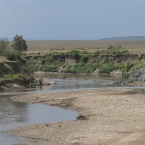 2018-09-19_masai-mara_2391_k