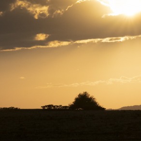 2018-09-20_masai-mara_2853_k