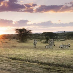 F_2018-09-20_masai-mara_2789_k