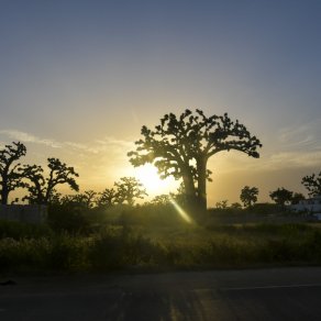 2018-10-17_senegal_1_6753_k