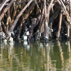 2018-10-21_senegal_1_7802_k