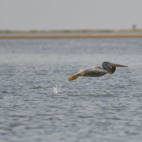 2018-10-21_senegal_1_7865_k