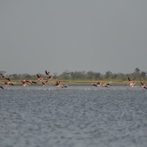 2018-10-21_senegal_1_7906_k