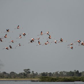 2018-10-21_senegal_1_7915_k