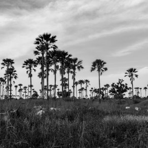 2018-10-21_senegal_1_8248_k