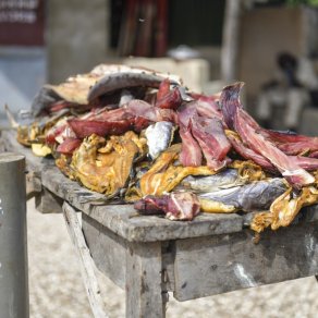 2018-10-31_senegal_1_9291_k