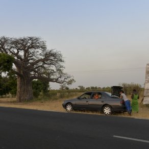 2018-11-08_senegal_2_9947_k