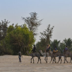 2018-11-11_senegal_2_0896_k